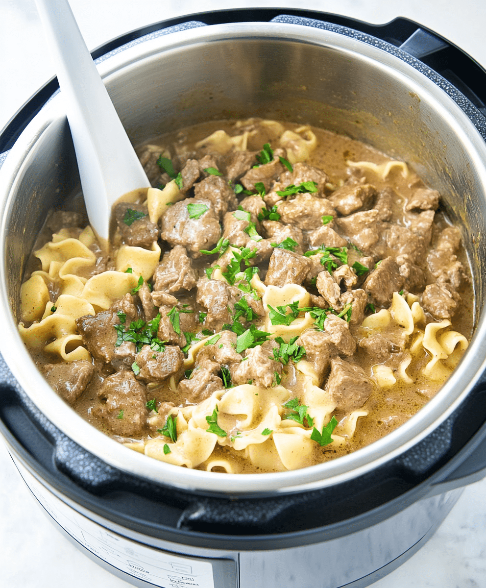 Instant Pot Beef Stroganoff Recipe Savory Recipe